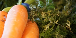 The Windmill Shop Heckington Carrots